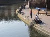 Canal Fishing.jpg