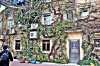 IMG_4339 Green house.JPG