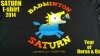 SaturnGreyHorse3web.jpg