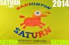 SaturnHorseWeb04.jpg