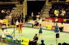 DSC_3485 Jap WD.JPG B.jpg