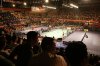 _MG_7897.jpg