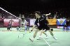 2010121109.jpg